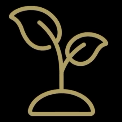 Cultivation